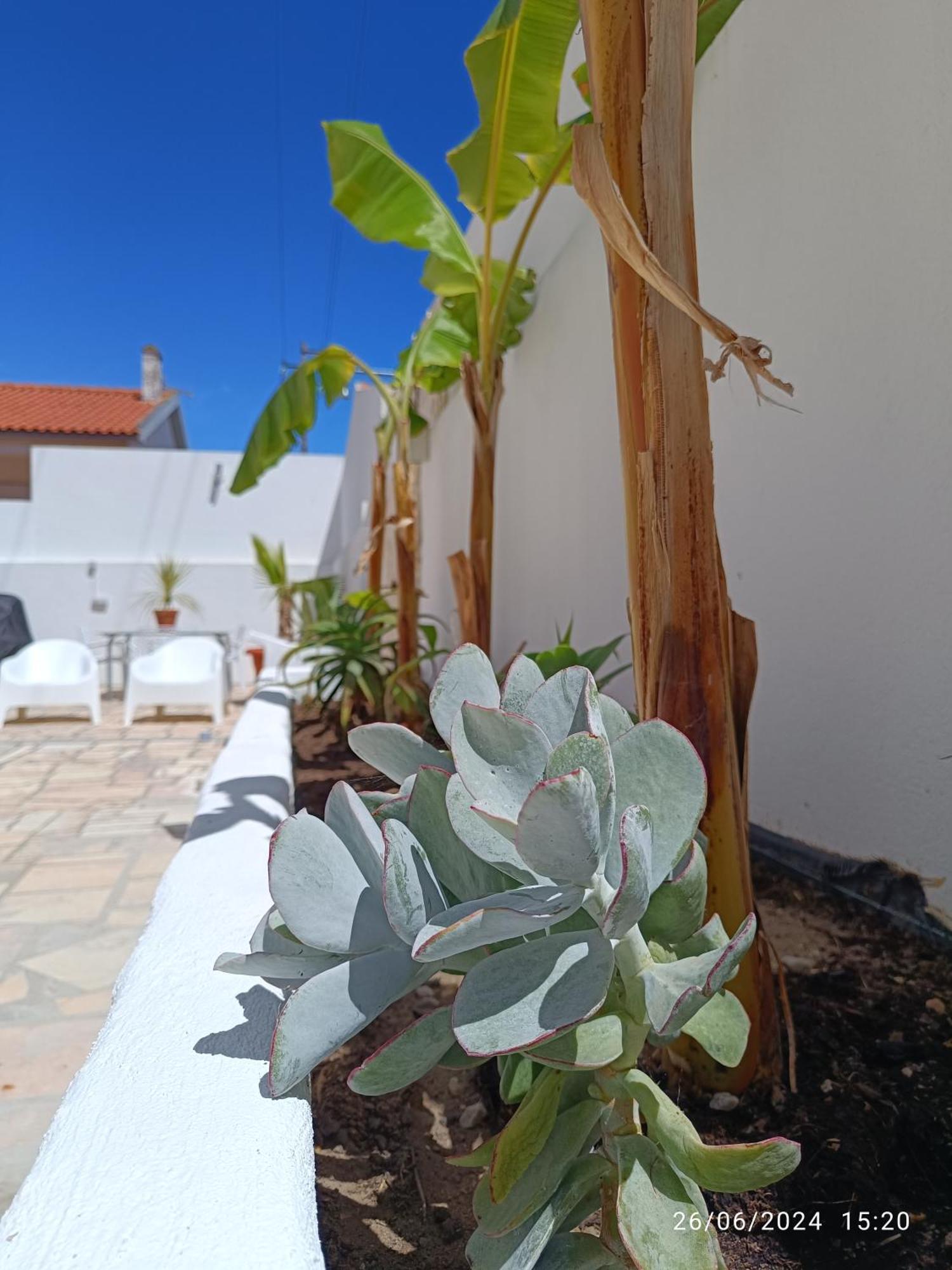 مبيت وإفطار اتوغويه ده باليه Supertubos House Peniche المظهر الخارجي الصورة