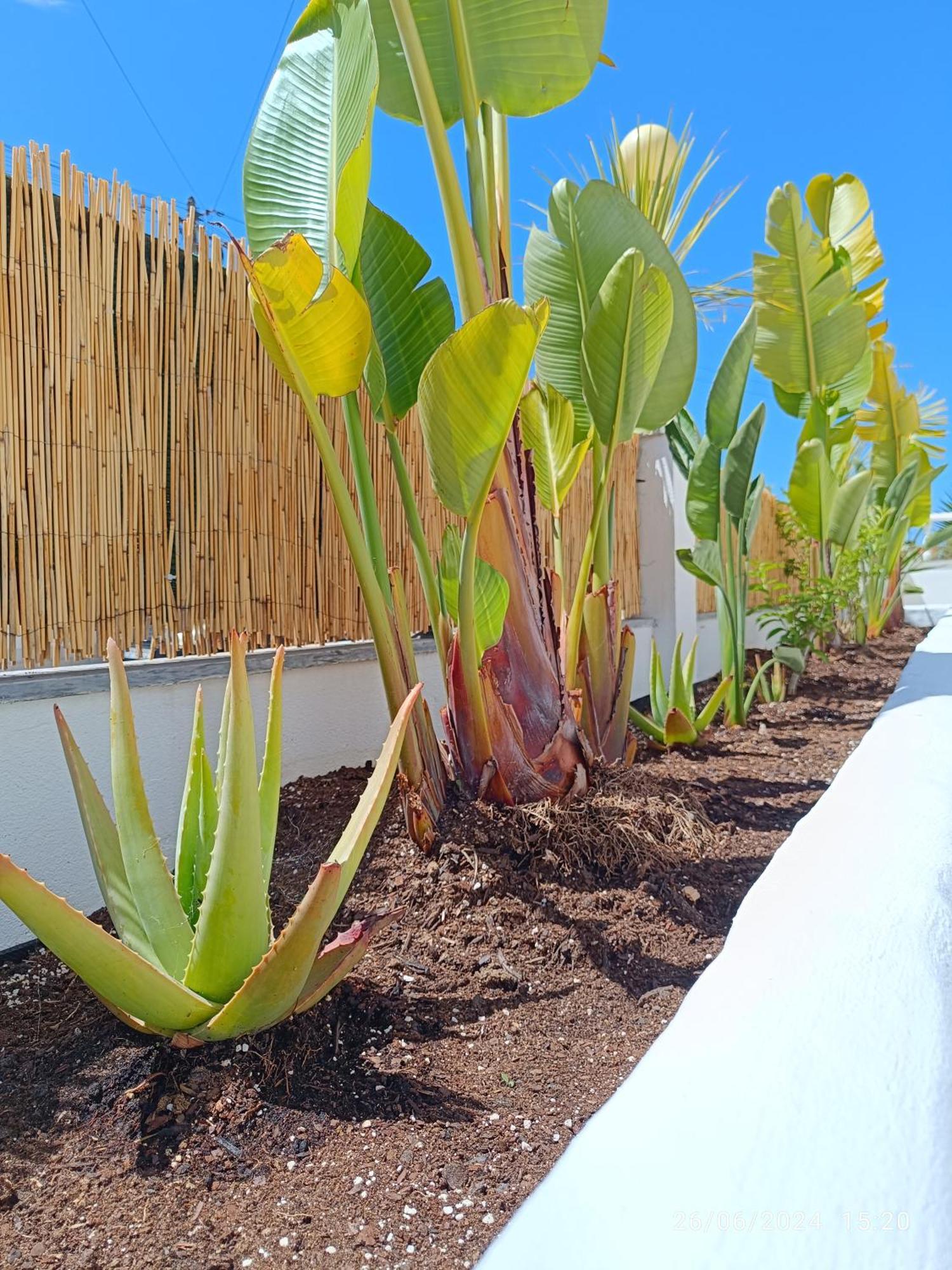مبيت وإفطار اتوغويه ده باليه Supertubos House Peniche المظهر الخارجي الصورة